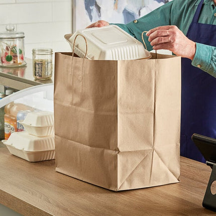 IBS  Reddi-2-Go Twist Handle Bag Kraft (Regal) - Express Wholesale Supplies  (200/case)