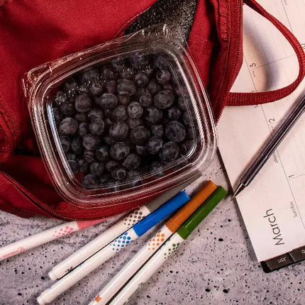 8 oz PET Plastic Hinged Deli Container - Karat (500/case)