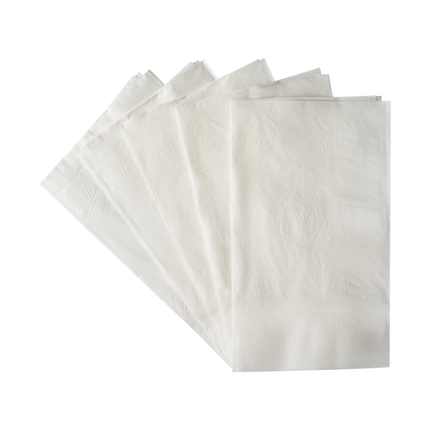 Karat 2 Ply Dinner Napkin White
