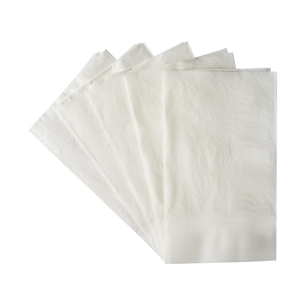 Karat 2 Ply Dinner Napkin White